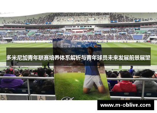 多米尼加青年联赛培养体系解析与青年球员未来发展前景展望