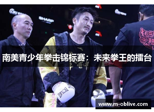 南美青少年拳击锦标赛：未来拳王的擂台