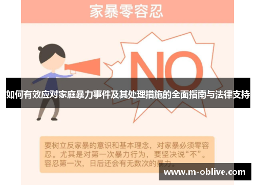 如何有效应对家庭暴力事件及其处理措施的全面指南与法律支持