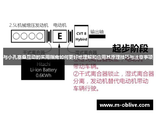 与小孔塞桑互动的实用指南如何更好地理解和应用其原理技巧与注意事项